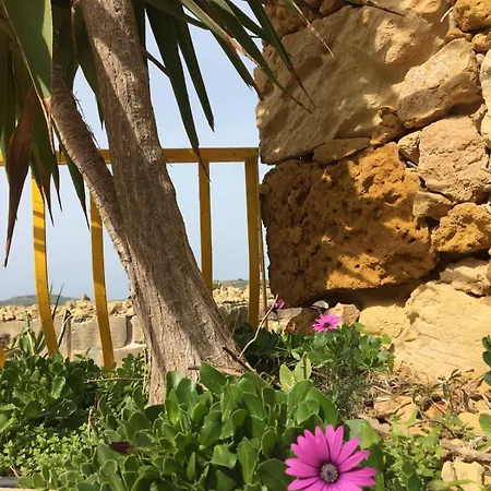 Islandlife With View Ta'pitra *
